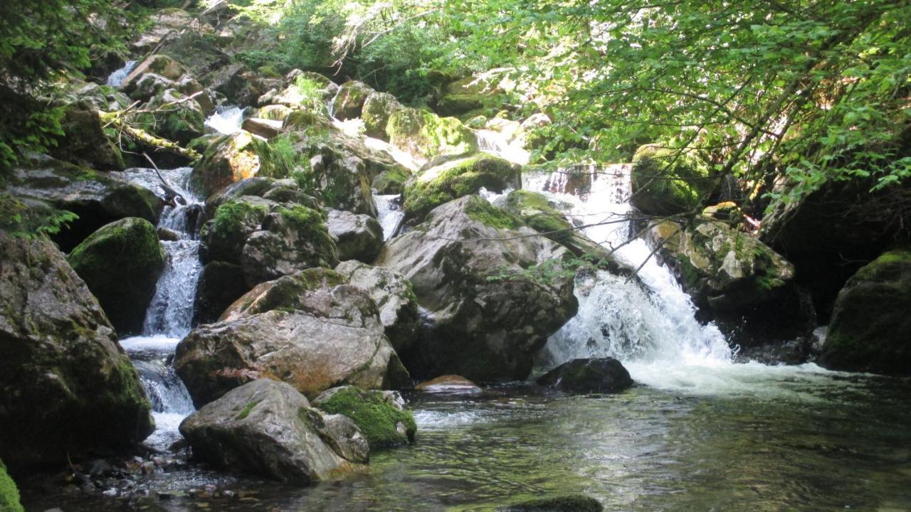 Apartmenthaus Berdnik Kotschach-Mauthen Zewnętrze zdjęcie